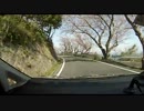 【車載】山道ドライブ2014-01 周防大島 五条の千本桜