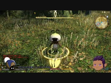 【新生FF14】エオルゼアレポート44: 黒衣森：東部森林【ゆっくり実況】