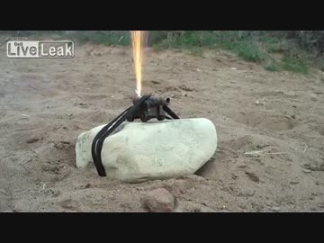 キャノン砲を撃ってみた　【グロ注意】