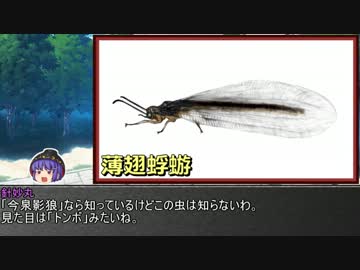 ゆっくり霊夢とやる夫が学ぶ 昆虫大百科 part17