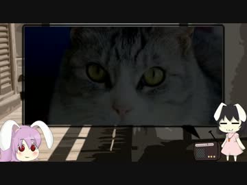 ゆっくり怪談 洒落怖26