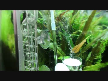 90ｃｍ水槽で水草レイアウトするよ！【PART6】