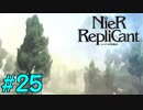 【実況】兄妹愛溢れるゲームをプレイ【ニーアレプリカント】part25