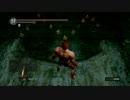 【だだくさ実況】　DARK SOULS -ビッグMの再来-　Chapter11