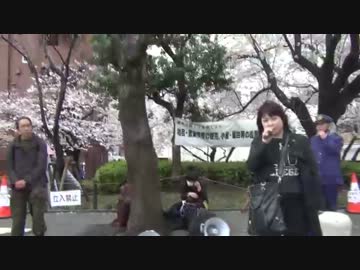 消費税を上げるなら、外国人への補助金を０にしろ！デモin浅草　5/5