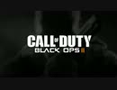 BO2 Aftermath ローディングBGM