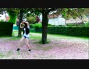 [Aku'] Mr. Wonderboy 歌って踊ってみた