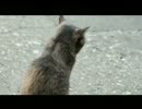 [iPhoneで手抜き全部俺] みんなのもさ　２０１４年４月号