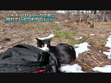 怖い猫が来た！じっとリュックの影に隠れるナナが可愛い件