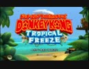 ドンキーコングトロピカルフリーズを愚兄弟が雑談プレイ　パート1