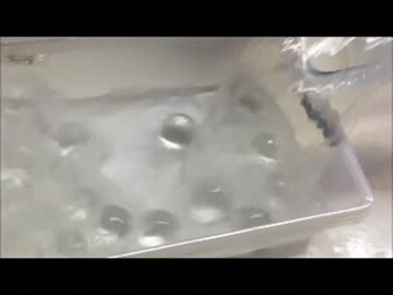水に入れると消えて見えなくなるポリマーボール