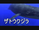 【AQUANAUT'S HOLIDAY】美しい海でどんどこ探索　26