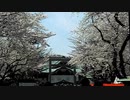 靖國神社 桜 皇紀二六七四年