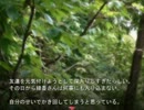 【R-15】 ミドリカ・コメディー・ビザールショーを実況【gari&キム】　#3