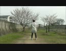 【颯。】千本桜【踊ってみた】