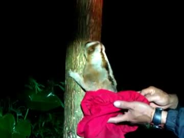 更なる高みへ昇る淫夢くん