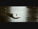 The Antlers - Palace