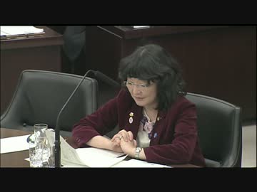 H26/4/2 【石原元官房副長官参考人招致質疑】片山さつき&amp;衛藤晟一