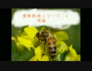 【養蜂】養蜂動画シリーズ5：埋線【ミツバチ】