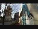 韓国旅行、韓国ツアー helshot039 korea travel