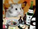 【作業用Full】アニソン＋α【ネタ入り】