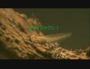 不屈の敗走者アヤ改め・・・91