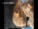 ゆっくり動物雑学「ビーバーの作ったダムが…」