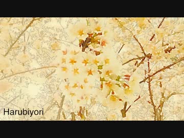 Harubiyori  / NNI春ニカ2014
