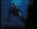 ジュラシック・ジョーズ 2/4