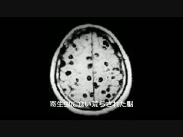 危険！食べるな！韓国食品