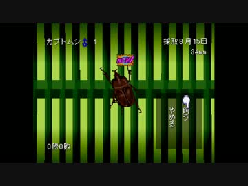 【実況】ぼくたちのなつやすみ　１５日目