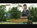 ONEW - 140404 じゃんぐる ep1-2