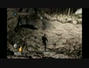 戦わなければ生き残れないダークソウル2実況part6