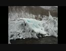 渓流釣りがしたくなって・・・201４年４月解禁編