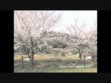 【春ニカ祭2014】more more aggressive【NNI】