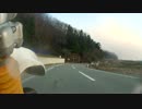２０１４・４・５　山形県　県道３０４号～２９号