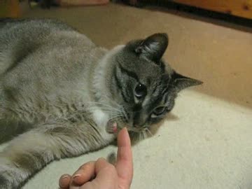 存在が自然になってきたジャンくん、ママと仲良し