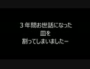 お皿が割れただけの動画ｗ