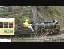 小田原城址公園の豆汽車