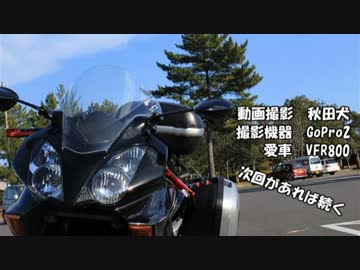 秋田犬の土佐お散歩日記part.1