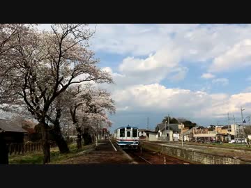 桜×鉄道(2012-2014)