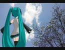 【初音ミク】大きな梅の木の下で