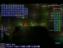 霧ラン terraria Part32