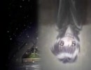 華音賞 Kns-09