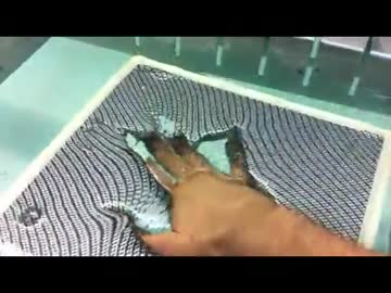 手に塗料素材を水転写する（海外）