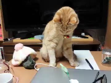 17歳になりました！