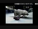 部長のモンスターファーム2【実況プレイ】 その4