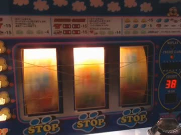 【永井先生】パピードッグ その１