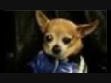 静岡県知事　韓国大統領に招待状送付で苦情殺到