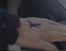 Black lizard (1/4)